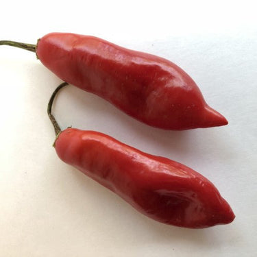 Aji - Pepper Seeds Combo Pack (7 Varieties) - Seeds - The Pepper Pantry (Formerly Marie Sharp's)